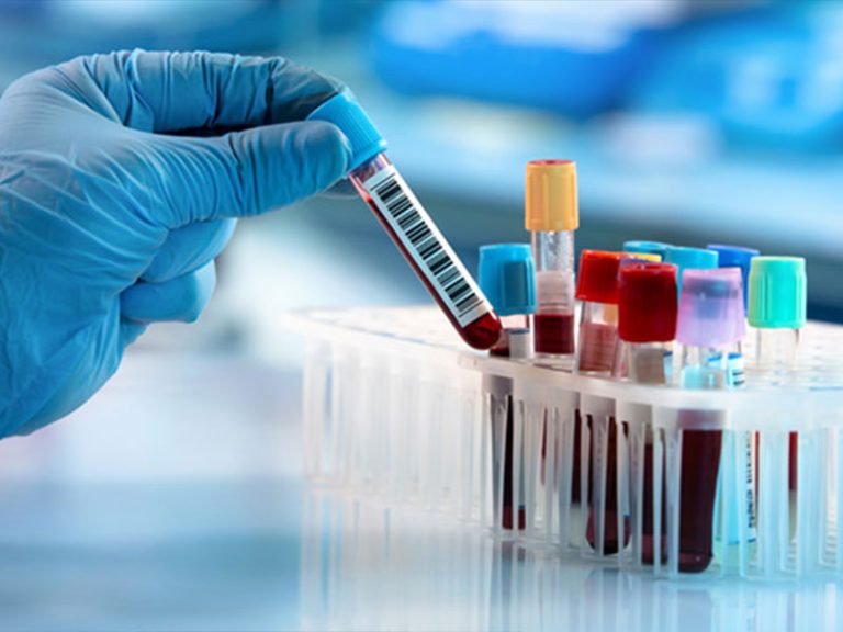 Laboratuvar Paketleri